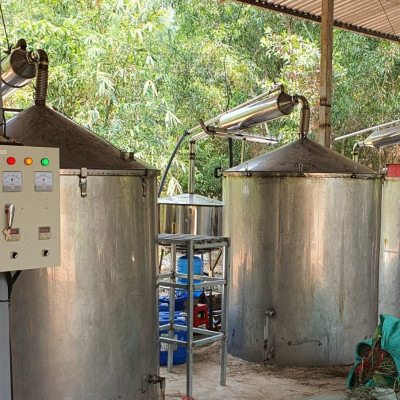 Tinh dầu Bưởi Chùm (bưởi Hồng, bưởi Úc) 100ml Mộc Mây - tinh dầu thiên nhiên nguyên chất 100% - chất lượng và mùi hương vượt trội