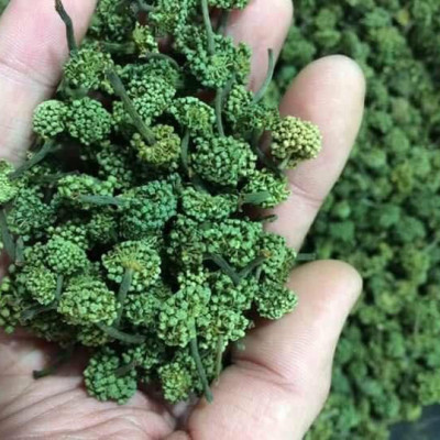 200gr Trà nụ hoa tam thất - Cao Cấp