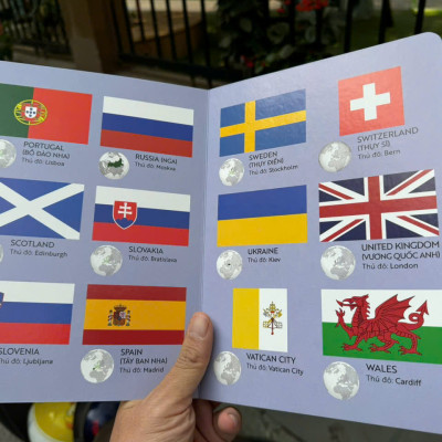 (Bìa cứng – in màu) 100 TỪ MỚI VỀ CỜ CÁC NƯỚC – Hoàng Tú biên soạn - Vizibook