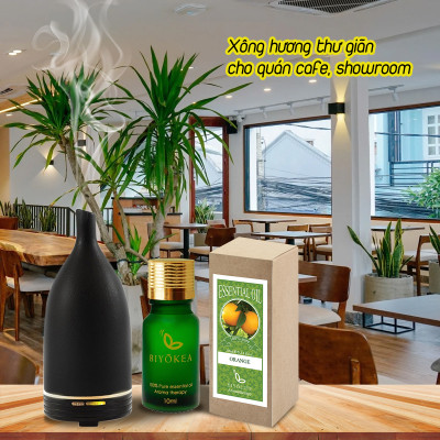 Tinh Dầu Hoa Hồi Biyokea (10ml)