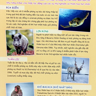 The Young Scientist - Truyện Tranh Khoa Học Cho Trẻ Em - Level 3 - Tập 6: Kền Kền Hùng Mạnh