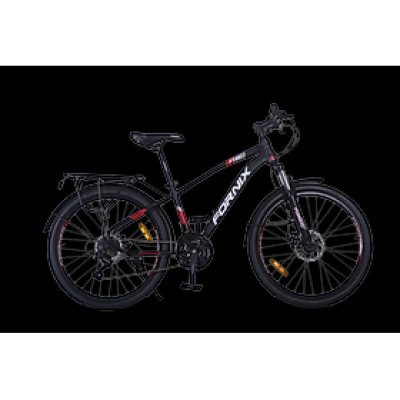 Xe Đạp Địa Hình FT24- FORNIX - Vòng Bánh 24"- Bảo Hành 12 Tháng