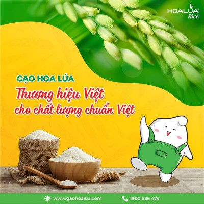 Gạo Gia Đình - Túi 5kg - Dẻo Vừa, Tơi Cơm, Thơm Nhẹ