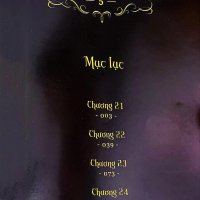 Cô Gái Nơi Xứ Ngoài - Tập 5