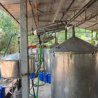 Tinh dầu Tràm Trà 100ml Mộc Mây - tinh dầu nguyên chất 100% từ thiên nhiên - chất lượng và mùi hương vượt trội