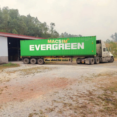 Lọc gió điều hòa cao cấp Macsim N95 xe ô tô Toyota Camry 2018-2023 (mã MS1919)