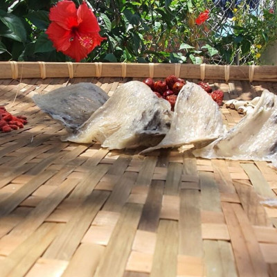 Yến sào thô Hồ Phụng Tiên 20g nguyên chất