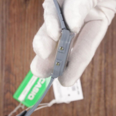 Đồng hồ đeo tay Casio LF-30W-2ADF chính hãng