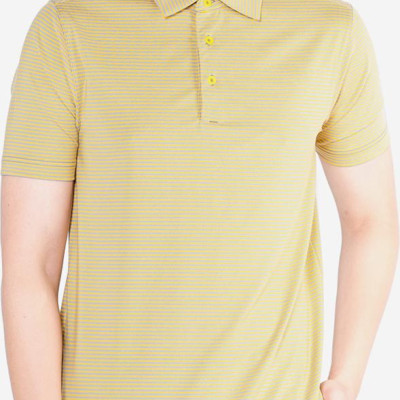 Áo Phông Nam Kẻ Ngang Aligro ALGAPC019