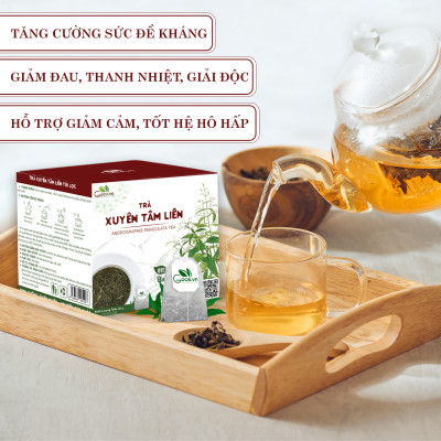 Trà xuyên tâm liên túi lọc Goce - Giảm ho, giải cảm hạ sốt