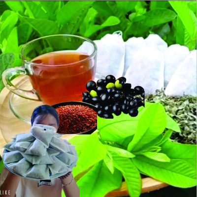 Trà lá ổi túi lọc ftaky - Tan mỡ giảm cân, ngừa tiểu đường (30 túi x 8g) túi to chà bá