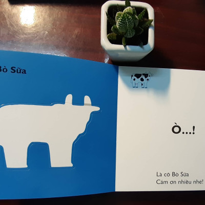 Combo 4 cuốn Ehon Nhật Bản Cùng chơi trốn tìm 4 Trang phục, Cùng chơi trốn tìm 5 Trái cây, Cùng chơi trốn tìm 6 Động vật, Cùng chơi trốn tìm 7 Rau củ