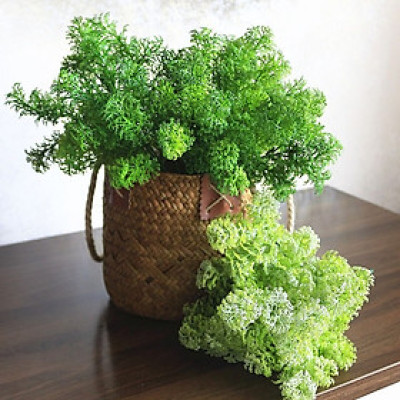 Cụm rong mốc trang trí cắm điểm siêu xinh - Cây giả, hoa lụa Decor trang trí nhà cửa