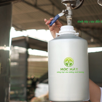 Tinh dầu Bưởi Chùm (bưởi Hồng, bưởi Úc) 100ml Mộc Mây - tinh dầu thiên nhiên nguyên chất 100% - chất lượng và mùi hương vượt trội