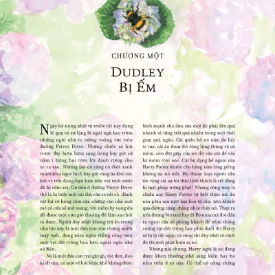 HARRY POTTER VÀ HỘI PHƯỢNG HOÀNG - Bản Đặc Biệt Bìa Cứng Có Tranh Minh Họa