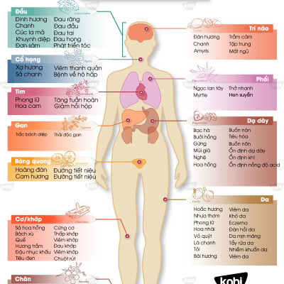 Tinh Dầu Kobi Clarity - Tinh Dầu Thiên Nhiên Nguyên Chất Giúp Xua Tan Cảm Giác Mệt Mỏi, Cho Tinh Thần Minh Mẫn, Sáng Tạo, Thích Hợp Dùng Với Đèn Xông, Máy Khuếch Tán Và Máy Xông Tinh Dầu