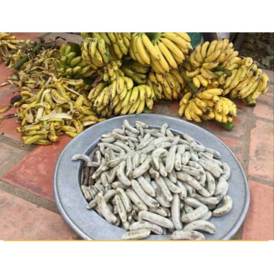 Đặc Sản Kon Tum - (Được Xem Hàng) Combo 3 Bì Chuối Hột Rừng Kon Tum Hút Chân Không (3Kg) - OCOP 3 Sao