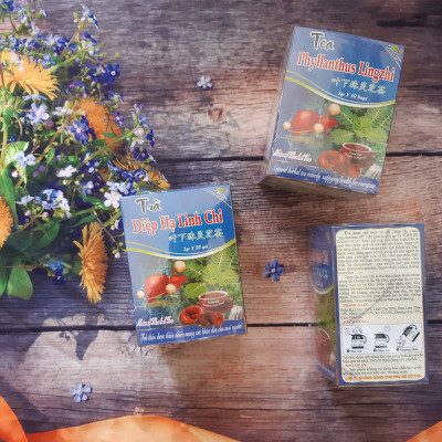 Combo 3 Hộp Trà Diệp Hạ Linh Chi (Hộp 50 Túi Lọc x 2g) -  Hỗ Trợ Viêm Gan B , Mỡ Máu- Nguyên Thái Trang - Thảo Dược Thiên Nhiên - Tốt Cho Sức Khỏe
