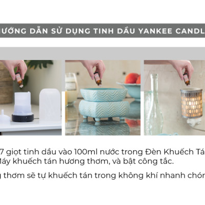 Tinh dầu Yankee Candle - Lavender Vanilla (15ml)