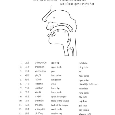 Sách - Giáo Trình Hán Ngữ 1 - Tập 1 - Quyển Thượng (Phiên Bản 3) (Tái Bản 2025)