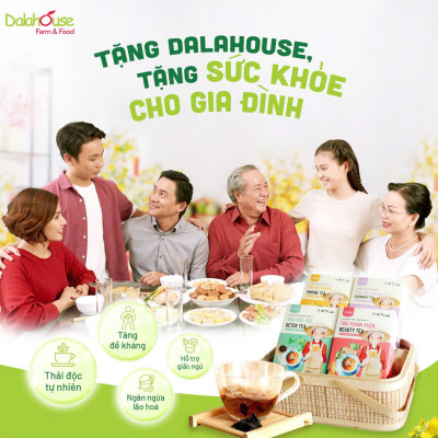Combo 4 Hộp Trà Dalahouse Hộp 50g - Trà Thanh Xuân, Trà Thải Độc, Trà Đề Kháng, Trà Ngủ Ngon, Tốt Cho Sức Khỏe