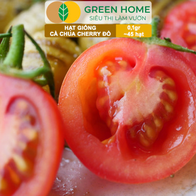Hạt Giống Cà Chua Cherry Đỏ Lai F1 GreenHome, Gói 0,1g~45 hạt, Dễ Trồng Quanh Năm, Nhiều Quả T43