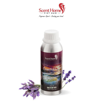Tinh dầu Scent Homes - mùi hương (Lavender Classic)