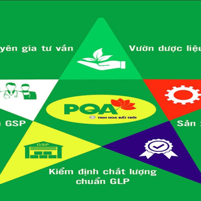 PQA Viên nén Phế Quản là dược phẩm thảo dược hỗ trợ bổ phế giúp ngăn ngừa các biểu hiện ho, ho có đờm, ho khan do viêm họng, viêm phế quản.