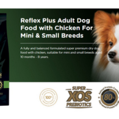 Hạt cho chó trưởng thành Reflex Plus Mini & Small Adult - Vị Gà 3Kg