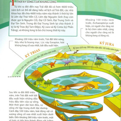 Kiến Thức Về Khủng Long - Người Khủng Long Có Tồn Tại Thật Không ? Sự Tiến Hóa Và Phân Loại Khủng Long