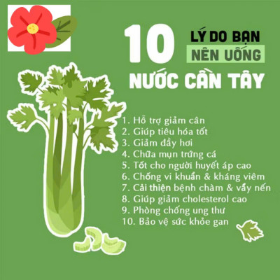 Bột cần tây nguyên chất sấy lạnh 