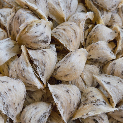 Yến Thô Nguyên Tổ ( Còn Lông) RiNest YDVCL100 - Già Tổ, Gân Sợi - 100GR - Hàng Chính Hãng.