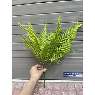 Dương xỉ trang trí - Dài 25cm - Đường kính 50cm - Cây giả, hoa lụa Decor trang trí nhà cửa