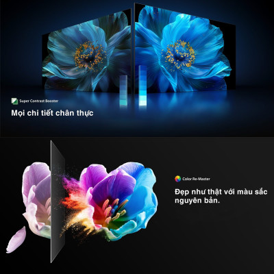 Smart Tivi QLED TOSHIBA 55 inch 55M450NP, Màn Hình Quantum Dot 4K UHD -  Giao Hàng Toàn Quốc - Hàng Chính Hãng