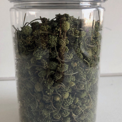 200gr Trà nụ hoa tam thất - Cao Cấp