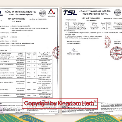 Đông trùng hạ thảo Kingdom Herb chính hãng loại thượng hạng sấy thăng hoa hộp 10 gram (tặng bình nước thủy tinh cao cấp)