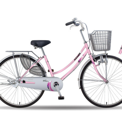 Xe Đạp Mini Asama CLD VI2602