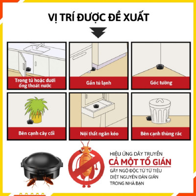 Viên Diệt Gián Nhật Bản, Hộp 12 Viên, Mùi Hương Nhẹ Nhàng, An Toàn Hiệu Quả