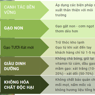 Gạo An Nông ST25 Xát Trắng 700g