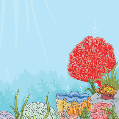 First Sticker Book - Sách Dán Hình Đầu Đời Cho Bé - Đại Dương