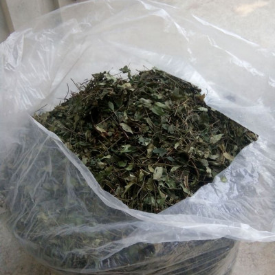 Chè vằng sẻ túi lọc ( Hộp 30 gói 5g) - Chè vằng sẻ Hà Tĩnh Hương vị của núi hồng - Chè vằng giúp giảm cân lợi sữa