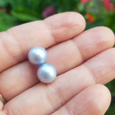 Đôi Bông Tai Ngọc Trai xanh dương nhẹ bóng đẹp 9mm  Size hạt 9mm ngọc trai cao cấp thiên nhiên mệnh Thủy Mộc   Nữ về bọc Vàng làm đôi bông tai vàng đeo cực kỳ xinh luôn ạ