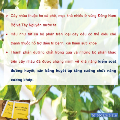 TRÀ NHÀU Dạng Túi Zip –  Delta D