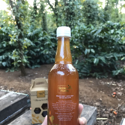 Mật ong Golden honey hỗ trợ tăng sức đề kháng, giảm ho, viên họng, dưỡng ẩm da và môi cang bóng mịn màng, dùng nấu ăn - QuaTangMe Extaste