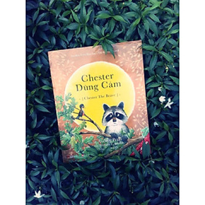 Những Câu Chuyện Về Gấu Mèo Chester - Nụ Hôn Trên Bàn Tay - Picture Book