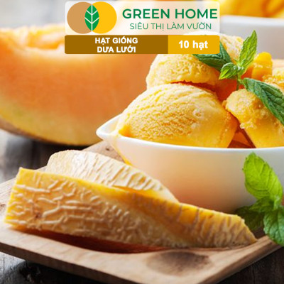 Hạt Giống Dưa Lưới Ruột Vàng Greenhome, Gói 10 Hạt, Dễ Trồng Quanh Năm, Nảy Mầm Cao, Thu Hoạch Nhanh, Năng Suất Cao T14