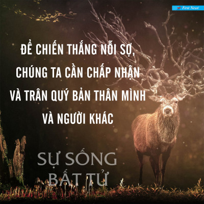 Bộ sách "Khám phá Bí mật Bên Kia Cửa Tử 1" (Trái tim của tâm hồn + Trở về từ cõi sáng + Sự sống bất tử)