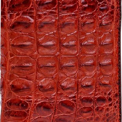 Ví Nam Da Cá Sấu Gai Đuôi Kiểu Đứng Huy Hoàng HT2259 (12.5 x 10 cm) - Nâu Đỏ