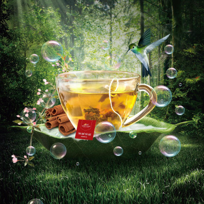 Trà Quế  giúp giảm cân, giúp lưu thông máu,tăng kháng thể, ổn định đường huyết, ngủ ngon, hơi thở thơm hương Quế Rừng Xanh- Quế rừng Trà Bồng Quảng Ngãi, món quà về sức khỏe và tinh thần