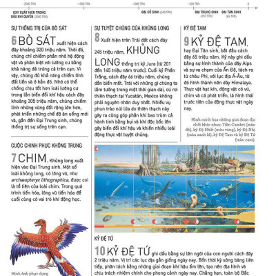 Kiến Thức Căn Bản Cần Biết - Theo Dòng Lịch Sử Văn Hóa